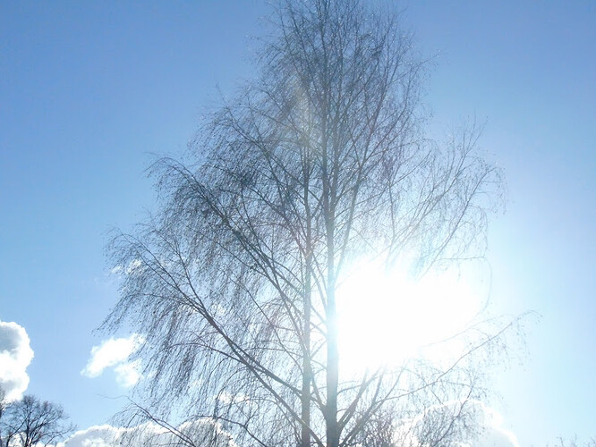 DSC03342.JPG