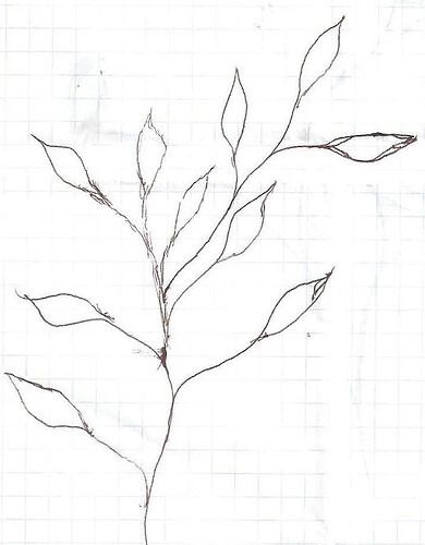 002a.jpg
