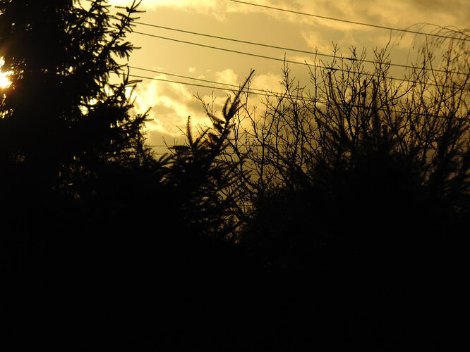DSC03501.JPG