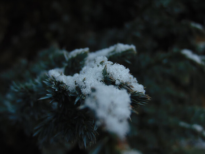 DSC01483.JPG