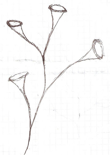 003a.jpg