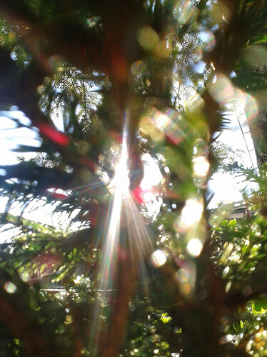 20141004_155119.jpg