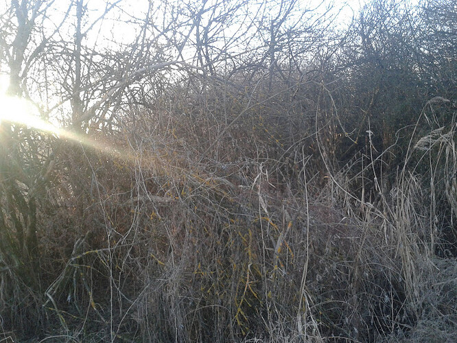 20150308_164334.jpg