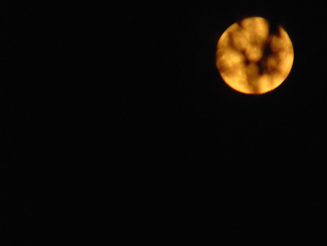 DSC02620.JPG
