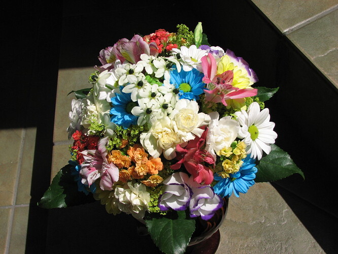 IMG_0130-1024x768.jpg