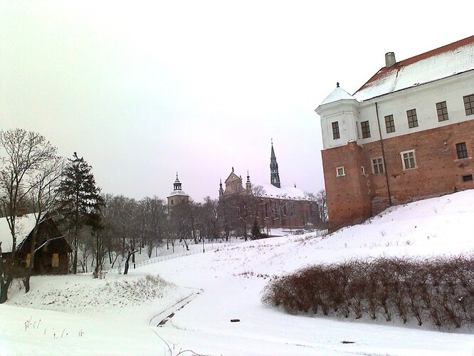 Zdj%C4%99cie0467.jpg