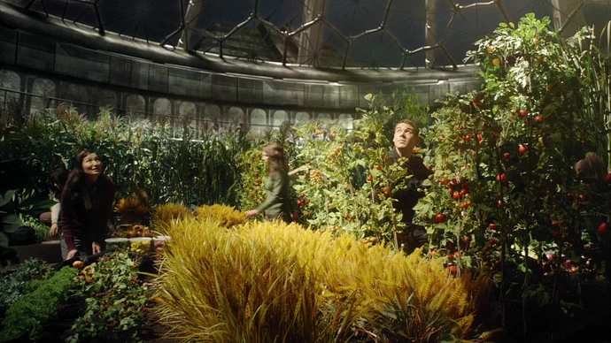 Destiny_garden.jpg